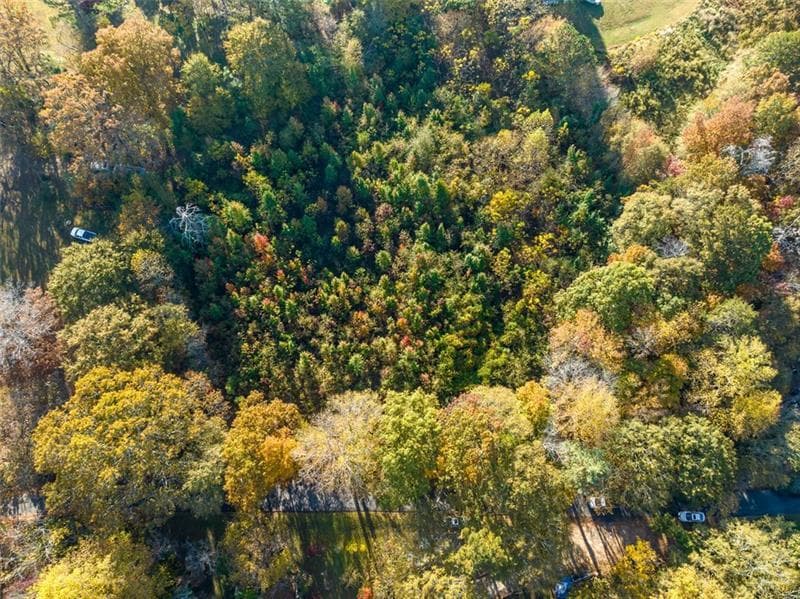 unimproved land for sale at 286 Lowry Street, Ball Ground, GA 30107 — photo 4