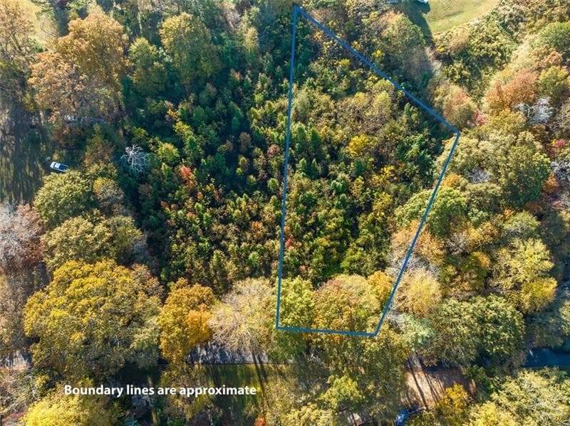 unimproved land for sale at 286 Lowry Street, Ball Ground, GA 30107 — photo 5