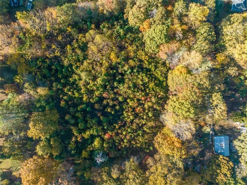 unimproved land for sale at 286 Lowry Street, Ball Ground, GA 30107 — photo 6