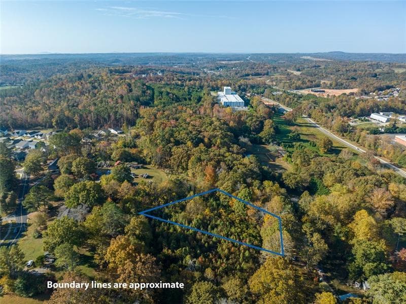 unimproved land for sale at 286 Lowry Street, Ball Ground, GA 30107 — photo 8