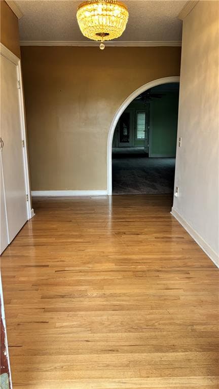 5 bedroom, 5 bathroom, 5,984 sq ft single family residence for sale at 1964 Coney Road, Vienna, GA 31092 — photo 4