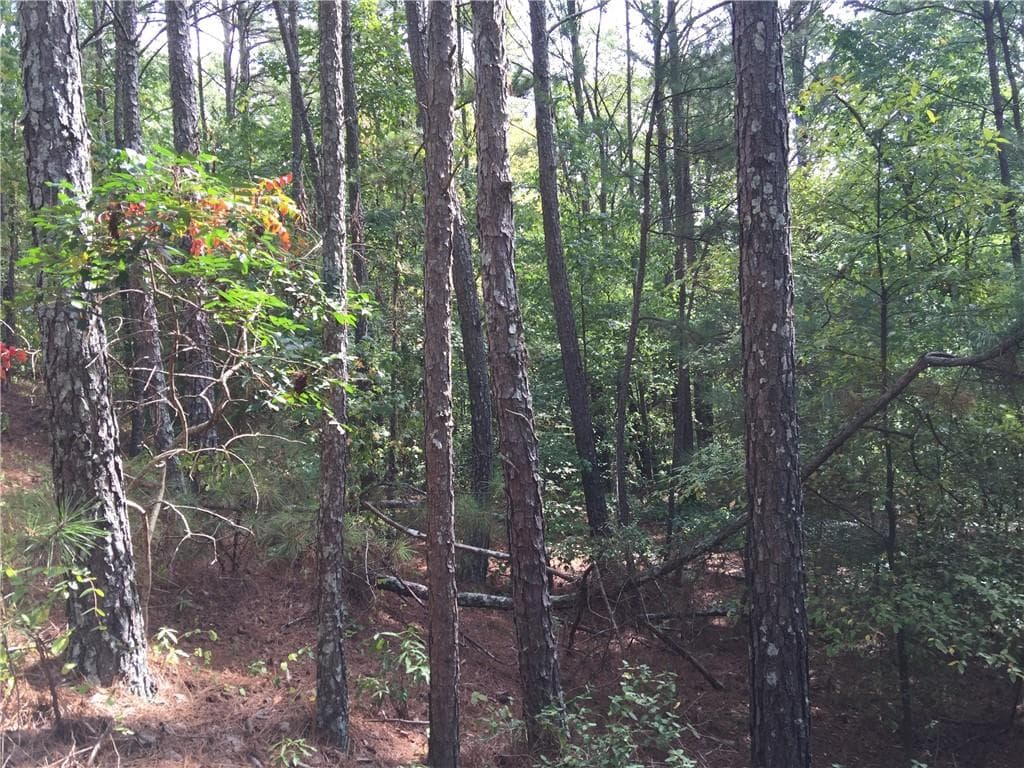 duplex under contract at 100 Valley View Drive, Cartersville, GA 30121 — photo 2