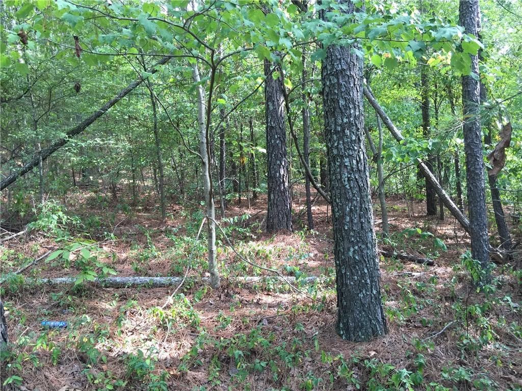 duplex under contract at 100 Valley View Drive, Cartersville, GA 30121 — photo 3