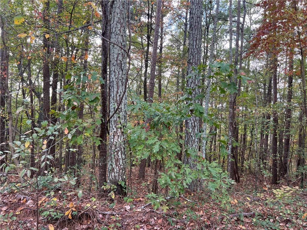 duplex under contract at 100 Valley View Drive, Cartersville, GA 30121 — photo 5