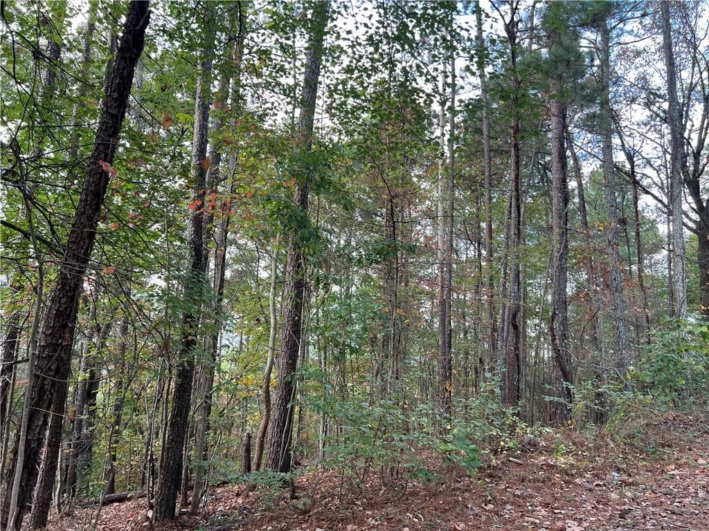 duplex under contract at 100 Valley View Drive, Cartersville, GA 30121 — photo 7