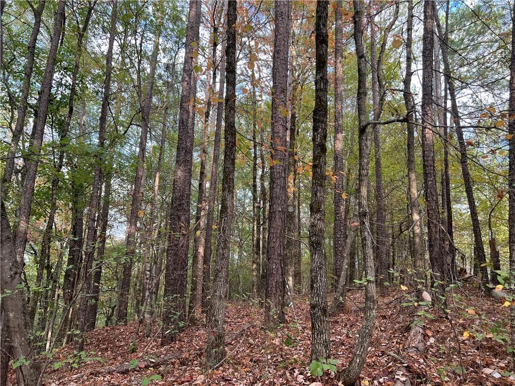 duplex under contract at 100 Valley View Drive, Cartersville, GA 30121 — photo 10