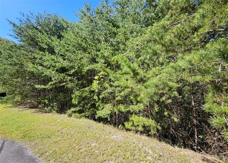 single family residence for sale at 298 Ridgeside Court, Jasper, GA 30143 — photo 6