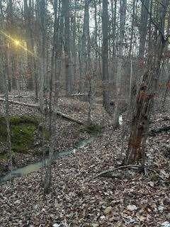 unimproved land for sale at 00 River Ridge Trail, Sparta, GA 31087