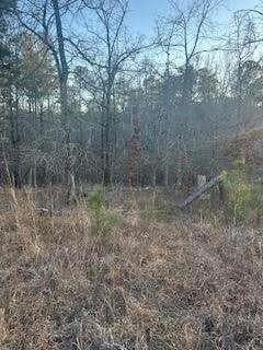 unimproved land for sale at 00 River Ridge Trail, Sparta, GA 31087 — photo 2