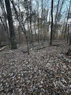 unimproved land for sale at 00 River Ridge Trail, Sparta, GA 31087 — photo 3