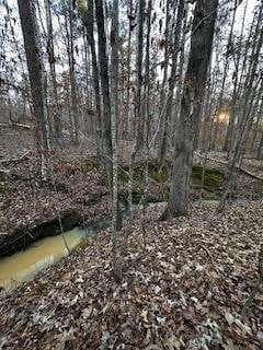 unimproved land for sale at 00 River Ridge Trail, Sparta, GA 31087 — photo 4