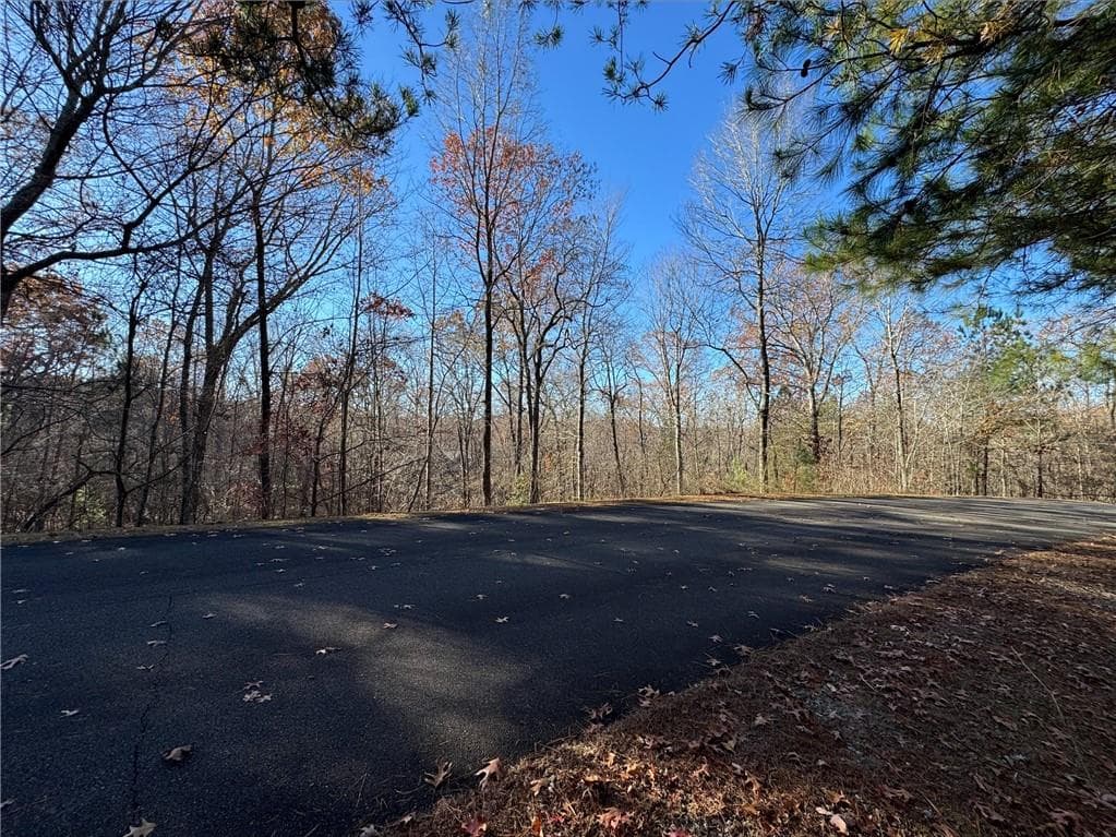 unimproved land for sale at 131 Harris Creek Drive, Ellijay, GA 30540 — photo 1 of 3