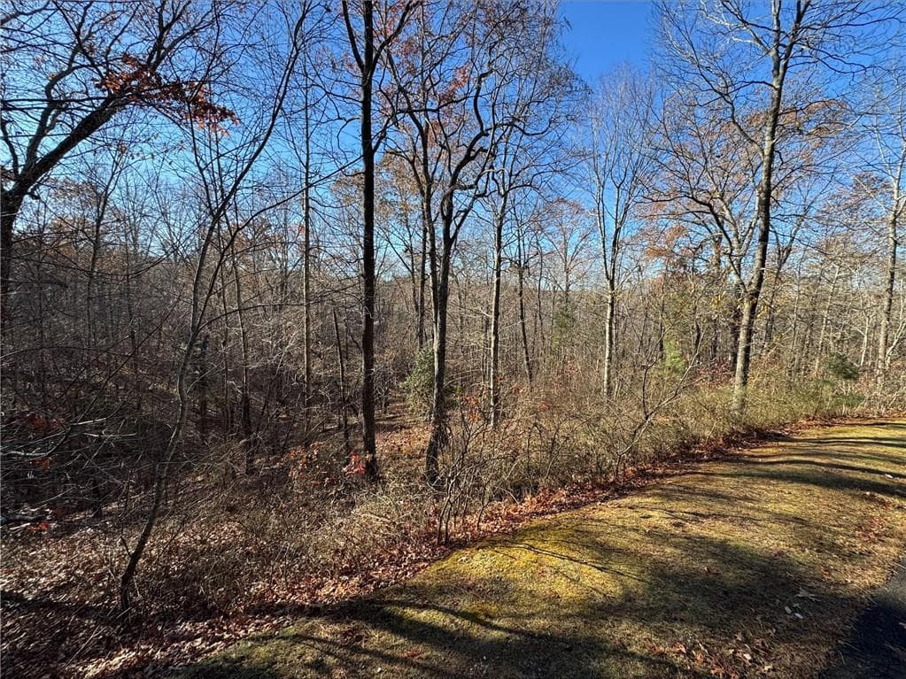 unimproved land for sale at 131 Harris Creek Drive, Ellijay, GA 30540 — photo 2