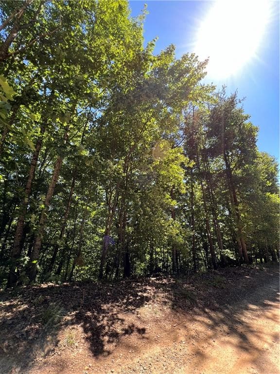 single family residence for sale at 2046 Amy Creek Circle, Ellijay, GA 30540 — photo 4