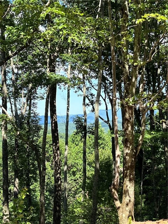 single family residence for sale at 2046 Amy Creek Circle, Ellijay, GA 30540 — photo 5