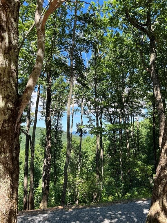 single family residence for sale at 2046 Amy Creek Circle, Ellijay, GA 30540 — photo 7