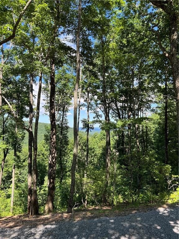 single family residence for sale at 2046 Amy Creek Circle, Ellijay, GA 30540 — photo 8