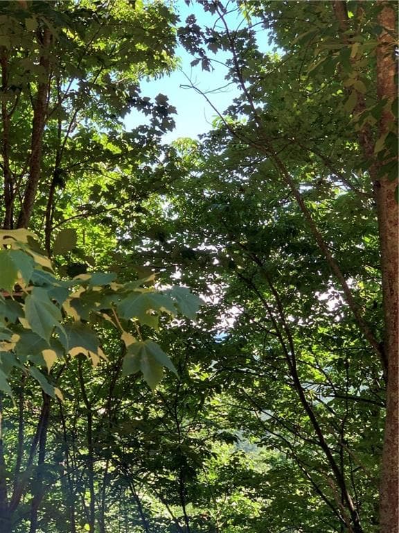 single family residence for sale at 2046 Amy Creek Circle, Ellijay, GA 30540 — photo 10