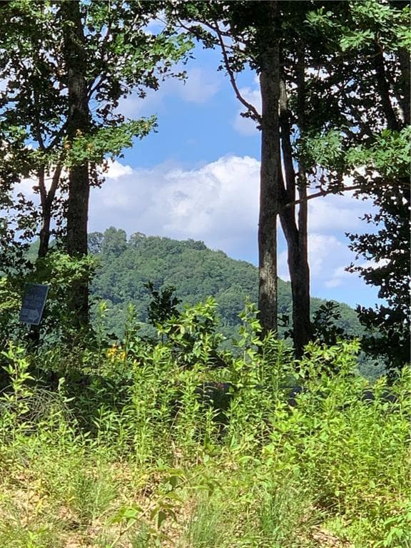 single family residence for sale at 2046 Amy Creek Circle, Ellijay, GA 30540