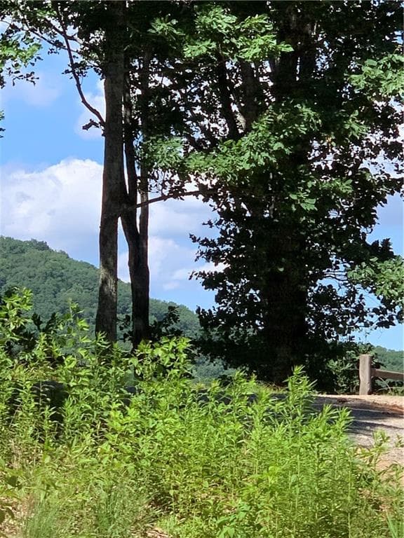 single family residence for sale at 2046 Amy Creek Circle, Ellijay, GA 30540 — photo 3