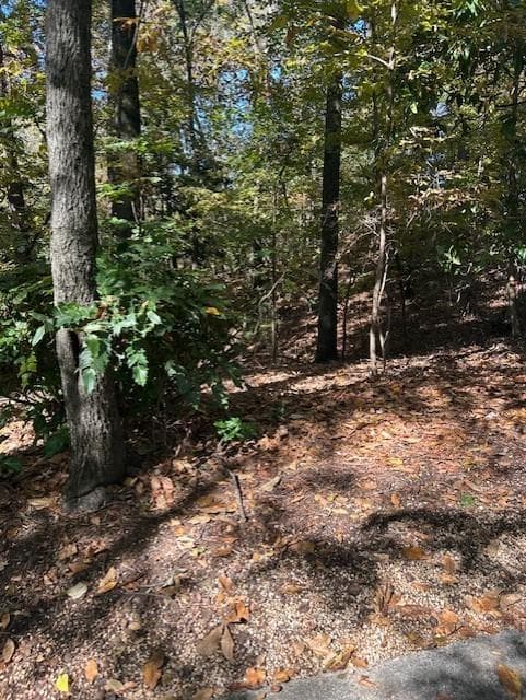 single family residence for sale at 18 W Wesley Ridge, Atlanta, GA 30327 — photo 2