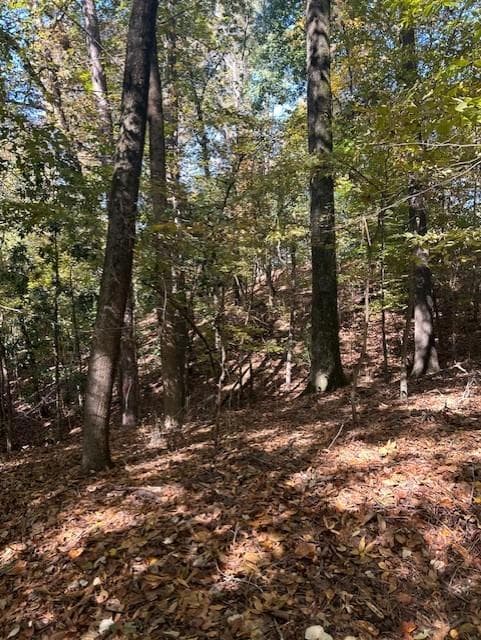 single family residence for sale at 18 W Wesley Ridge, Atlanta, GA 30327 — photo 10