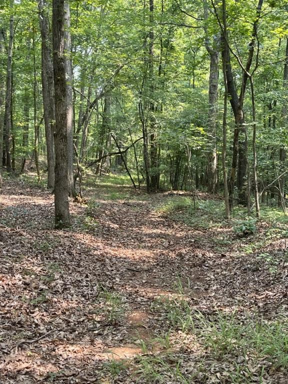 other for sale at 5447 Winder Highway, Braselton, GA 30517 — photo 10