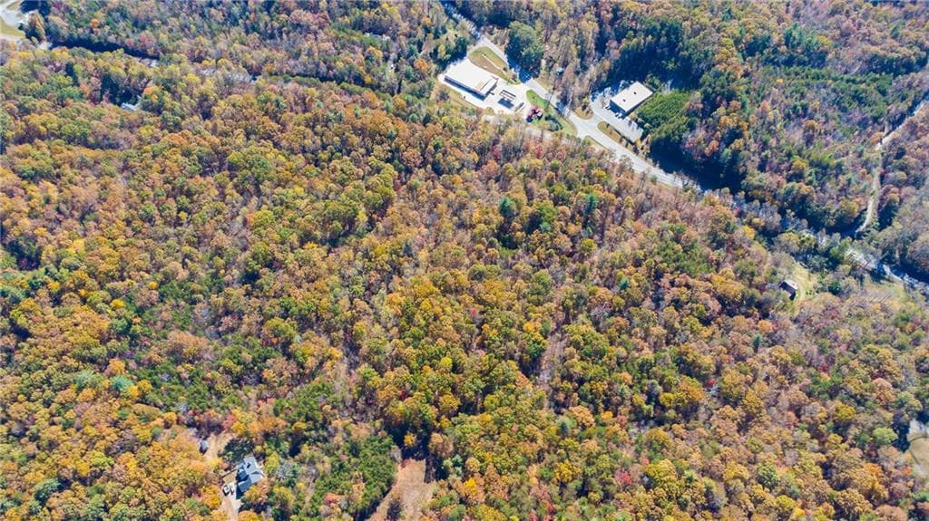 unimproved land for sale at 00 Hwy 136, Dawsonville, GA 30534 — photo 1 of 12