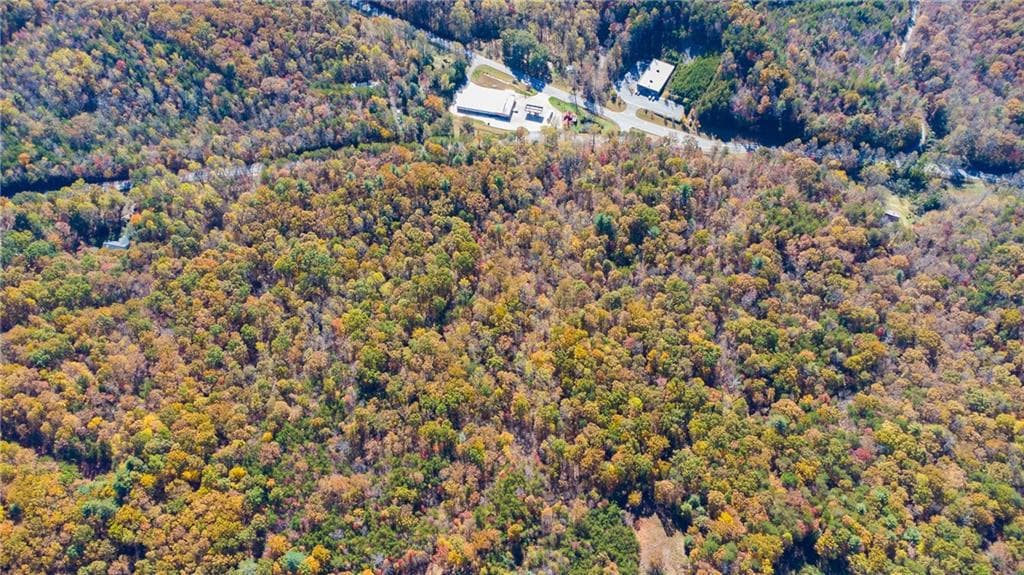 unimproved land for sale at 00 Hwy 136, Dawsonville, GA 30534 — photo 2