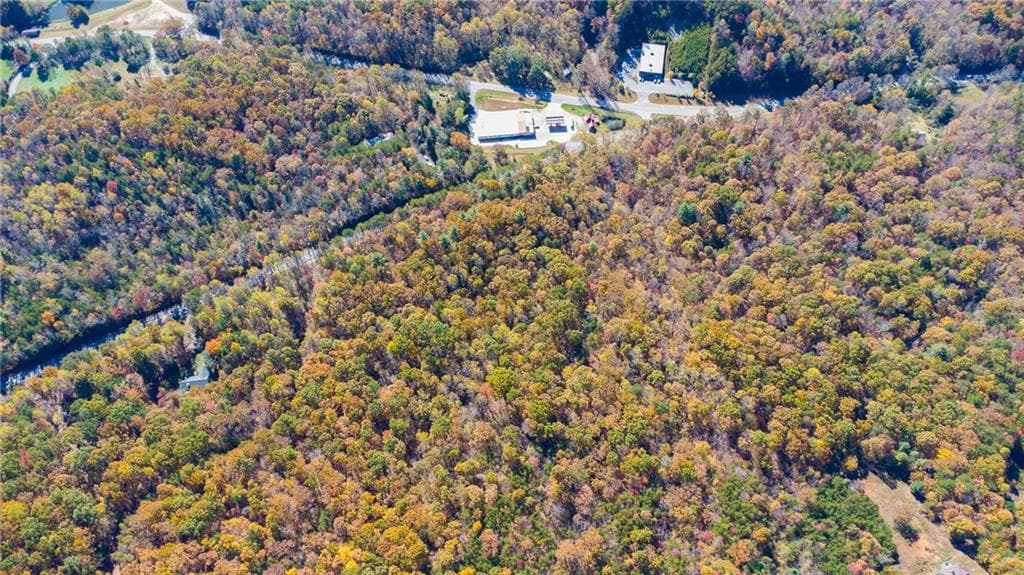 unimproved land for sale at 00 Hwy 136, Dawsonville, GA 30534 — photo 3