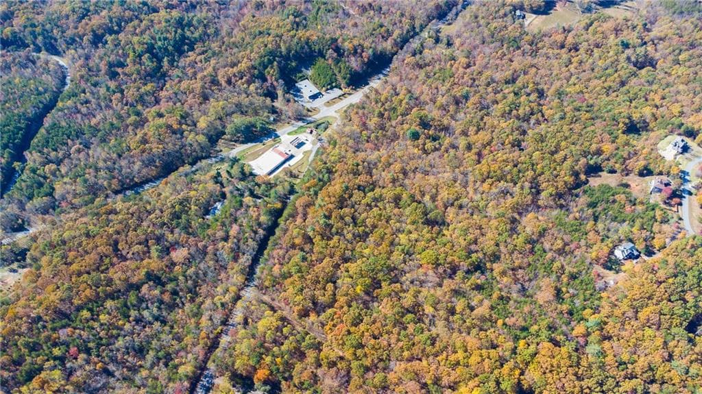 unimproved land for sale at 00 Hwy 136, Dawsonville, GA 30534 — photo 4