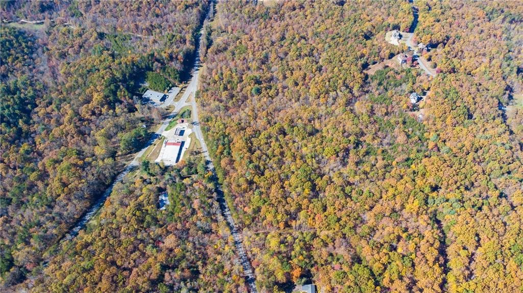 unimproved land for sale at 00 Hwy 136, Dawsonville, GA 30534 — photo 5