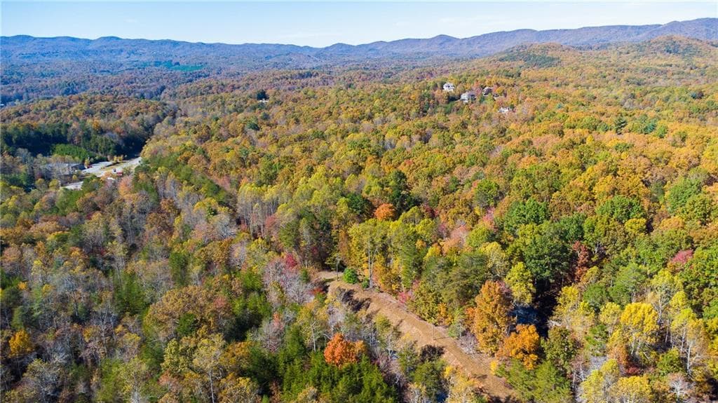 unimproved land for sale at 00 Hwy 136, Dawsonville, GA 30534 — photo 6