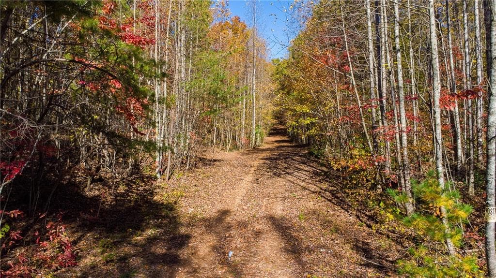 unimproved land for sale at 00 Hwy 136, Dawsonville, GA 30534 — photo 7