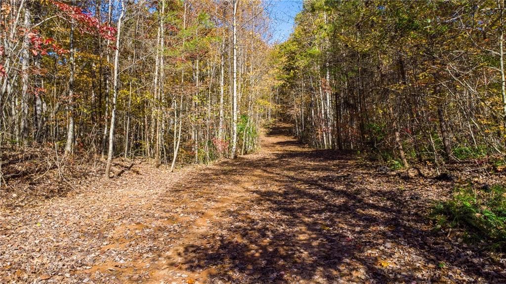 unimproved land for sale at 00 Hwy 136, Dawsonville, GA 30534 — photo 8