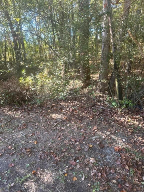 single family residence for sale at 000 Buffington Road #REAR, South Fulton, GA 30291 — photo 5