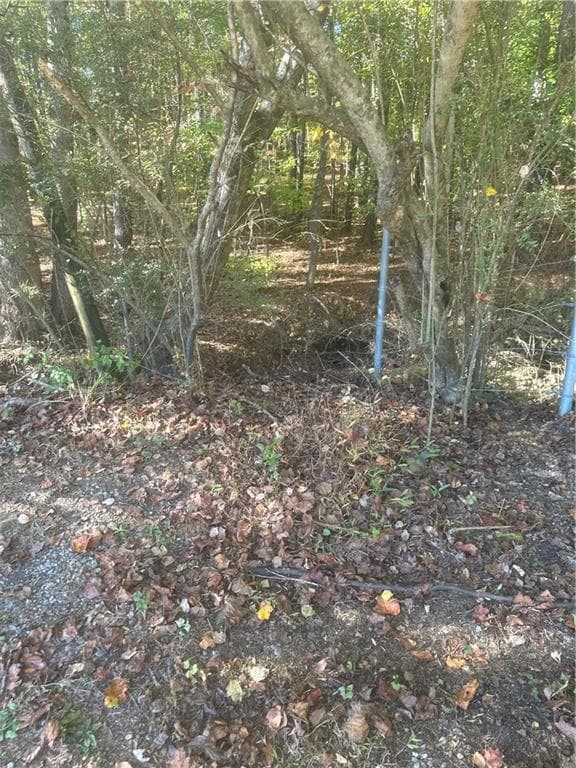 single family residence for sale at 000 Buffington Road #REAR, South Fulton, GA 30291 — photo 6