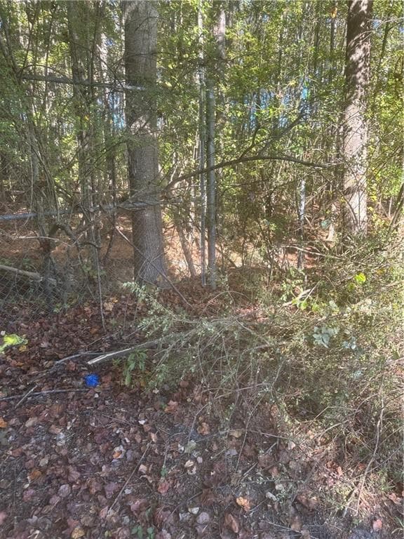 single family residence for sale at 000 Buffington Road #REAR, South Fulton, GA 30291 — photo 7