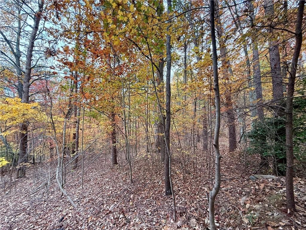 1345 Hunter Drive, Ranger, GA 30734 — most recent listing photo