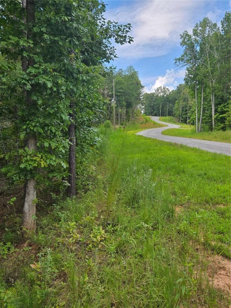 0 Crayfish Place, Talking Rock, GA 30175 — most recent listing photo