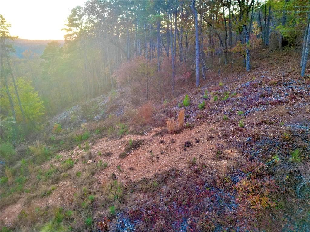 unimproved land for sale at 0 Canoe Way, Talking Rock, GA 30175 — photo 2
