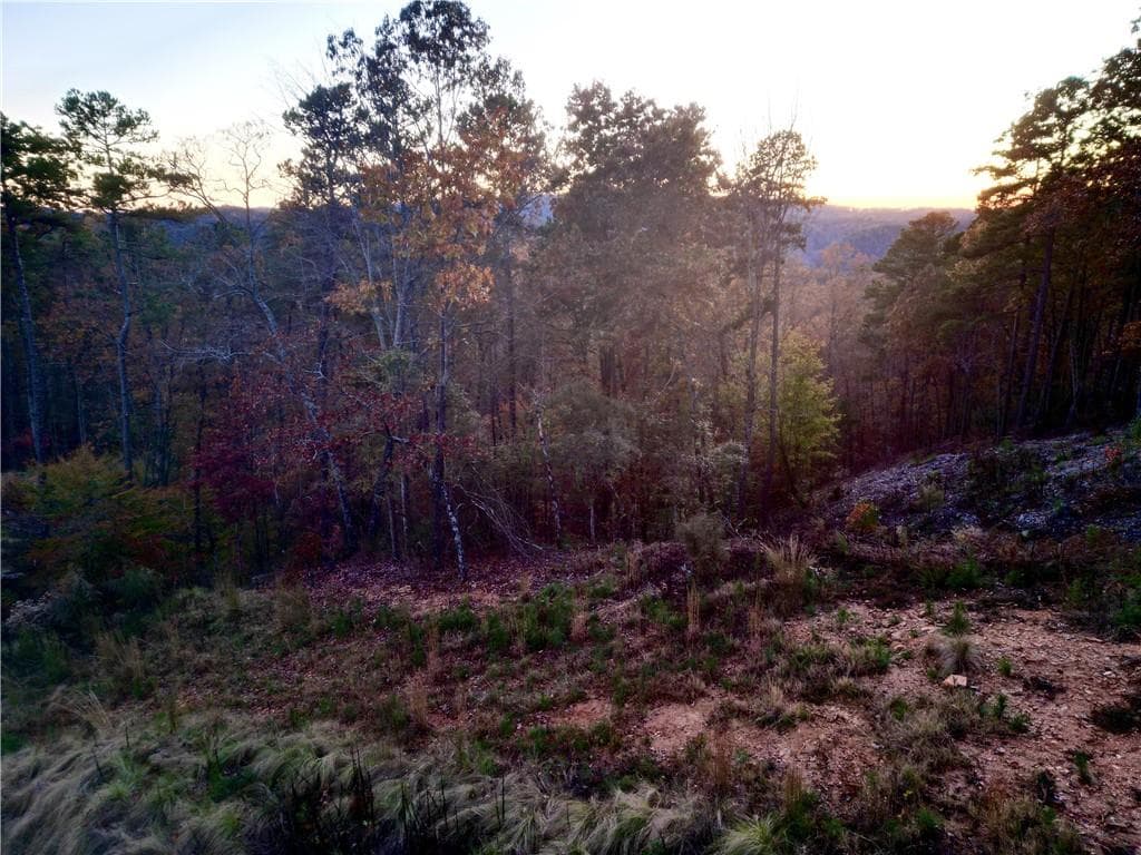 unimproved land for sale at 0 Canoe Way, Talking Rock, GA 30175 — photo 3