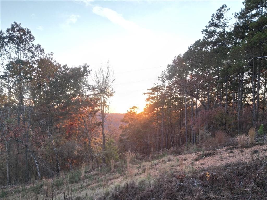 unimproved land for sale at 0 Canoe Way, Talking Rock, GA 30175 — photo 4