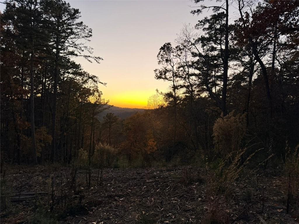 unimproved land for sale at 0 CANOE Way, Talking Rock, GA 30175 — photo 3