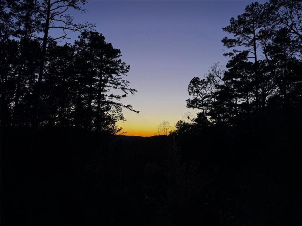 unimproved land for sale at 0 CANOE Way, Talking Rock, GA 30175 — photo 7