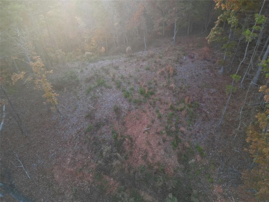 unimproved land for sale at 0 CANOE Way, Talking Rock, GA 30175 — photo 5