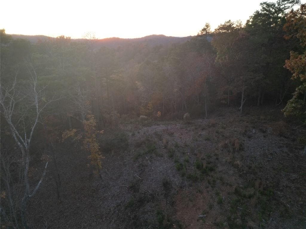 unimproved land for sale at 0 CANOE Way, Talking Rock, GA 30175 — photo 6