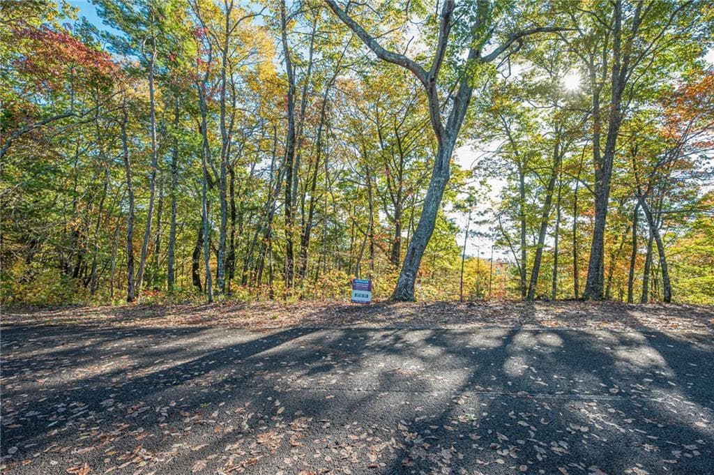 single family residence for sale at Lot 19 Oceola Drive, Ellijay, GA 30540 — photo 2