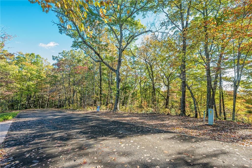 single family residence for sale at Lot 19 Oceola Drive, Ellijay, GA 30540 — photo 4