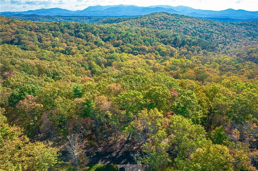 single family residence for sale at Lot 19 Oceola Drive, Ellijay, GA 30540 — photo 7
